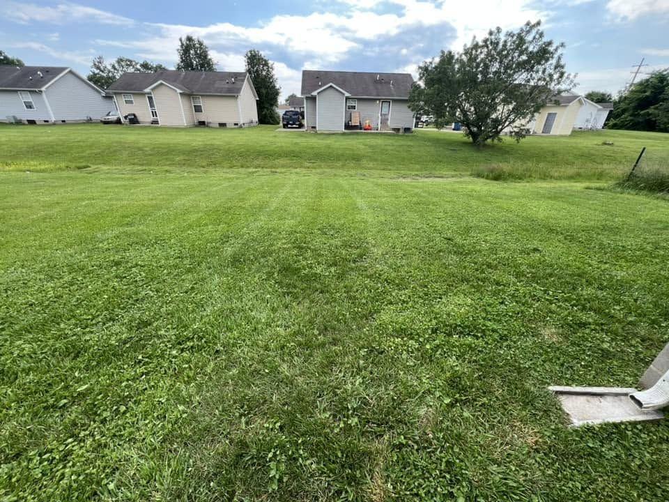 A large freshly cut backyard running to the fence line