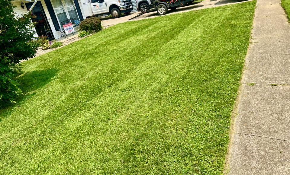 A front lawn holding faint stripes, the truck in the drive