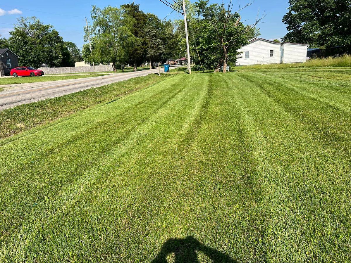 A long striped strip of lawn running out to the road under a big evening sky